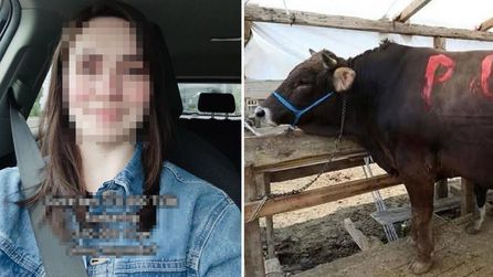 Kurbanlık alımında tartışmalı pazarlık sosyal medyada gündem oldu