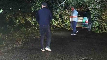 Bartın'da fırtına ağaçları devirdi, otomobiller hasar gördü