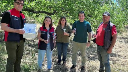 Çanakkale'de kahverengi kokarca ile mücadelede 5000 samuray arısı salındı