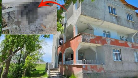 Muş'ta Yılan İstilasından Dolayı Aileler Geceleri Uyuyamıyor