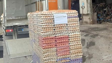 Sakarya'da 42 bin sahte organik yumurta ele geçirildi