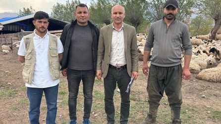 Erzincan’da çoban sorunu için Afganistan'dan iş gücü getirildi