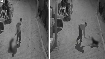 Kocaeli'de köpeğe şiddet uygulayan şahıs gözaltına alındı