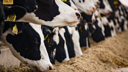 Polatlı'da Yem Makinesi Kazasında 15 Yaşındaki Çocuk Hayatını Kaybetti