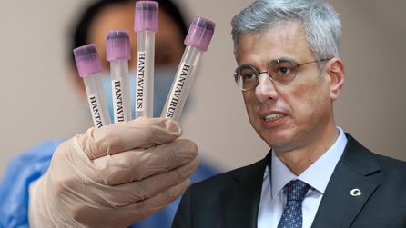 Hantavirüs Türkiye'de Tespit Edilmedi Sağlık Bakanlığı Açıkladı