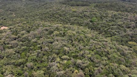 Kenya'da 299 kişi, BP'ye yeraltı suyu kirliliği nedeniyle dava açtı