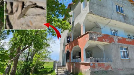 Muş'ta Yılanlar Tuvalet Giderinden Eve Giriyor