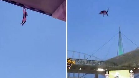 Stadyumda mahsur kalan kedi taraftarlar tarafından kurtarıldı
