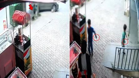Esenler'de çocuklar kediyi bıçaklayıp esnafı tehdit etti