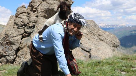 Aydın Aydın Hakkari'de keçi kurtardı, doğaya duyarlılık çağrısı yaptı