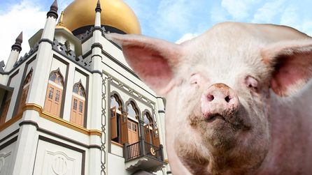 Singapur'da Camilere Domuz Eti Gönderen Kişi 15 Ay Hapis Cezası Aldı