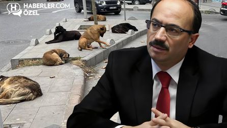 Osman Mesten, sokak köpekleriyle ilgili açıklamalarda bulundu