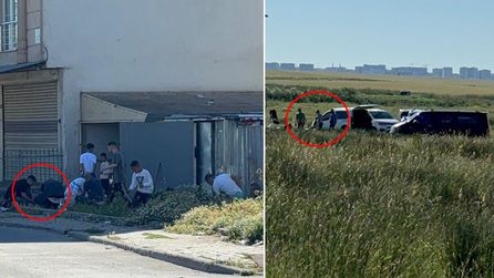 Esenyurt'ta kaçak kurban kesimine ceza uygulandı
