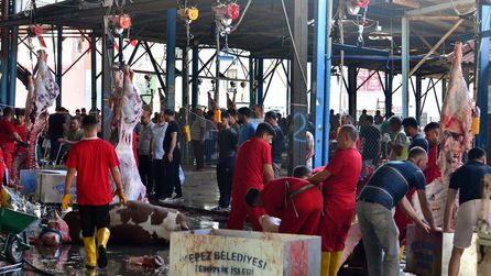 Kurban Bayramı'nda kesim ve satış kurallarına uyulmazsa ceza var