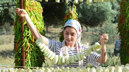 Nazilli'de Kurutmalık Sebze Üretimi Artış Gösterdi