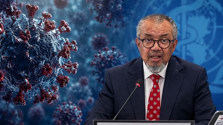 DSÖ, hantavirüs vakalarıyla ilgili Tenerife halkını bilgilendirdi