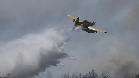 Polonya'da orman yangını söndürme uçağı düştü, pilot hayatını kaybetti