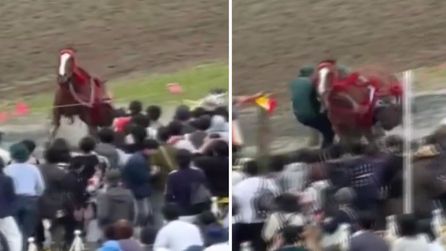 Fukuşima'daki festivalde kontrolden çıkan at kalabalığa dalarak yaralanmalara yol açtı