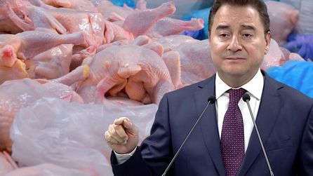 Ali Babacan beyaz et sektörüne kayyum atamalarını eleştirdi