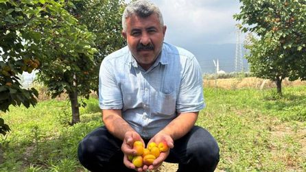Düziçi'nde kayısı üretimi artıyor, Abdurahman Keleş başarılı oldu
