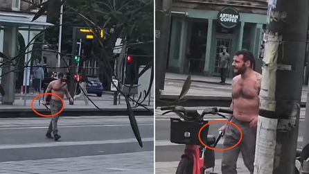 Palalı vahşet! Avrupa'nın göbeğinde Müslümanlar diken üstünde 