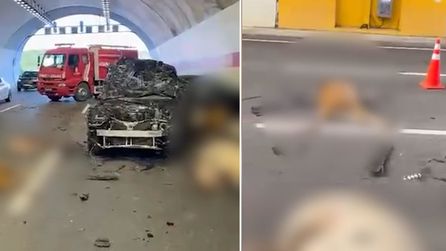 Şile tünelinde inekler trafik kazasına neden oldu