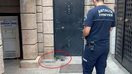 Antalya'da camideki yılan paniği, itfaiye ekipleri devreye girdi