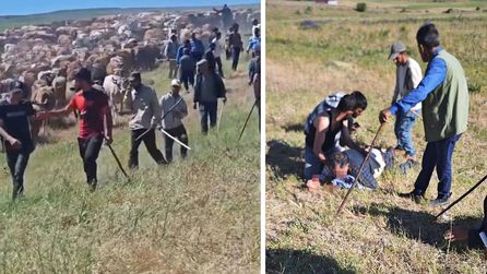 Muş'ta iki köy arasında silahlı çatışma yaşandı