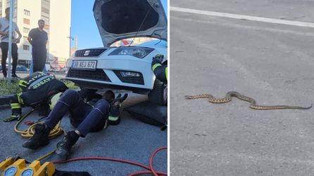 Kayseri'de kaybolan yılan otomobil sahibinin evinin önünde bulundu