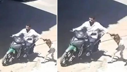 Gaziantep'te baba, kızını sokakta darbedip sürükledi