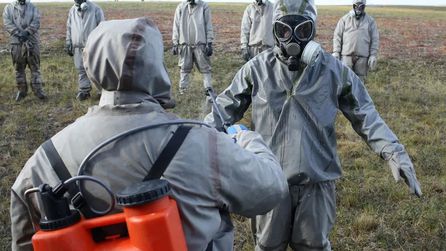Sibirya'da veba salgınına dair yeni DNA bulguları keşfedildi