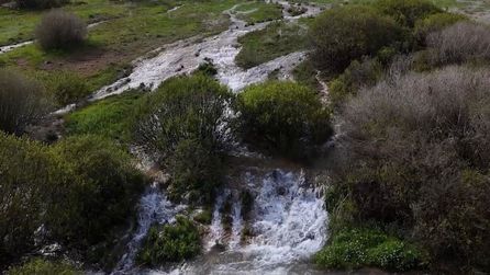 Ağ Nene Tepesi'nde mineral zengini su ilkbahar aylarında yüzeye çıkıyor