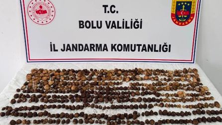 Bolu'da Yabani Salep Toplayan 3 Kişiye 2 Milyon TL Ceza Kesildi