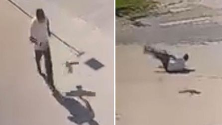 Elazığ'da karga saldırısına uğrayan vatandaş panik içinde kaçtı