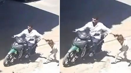 Gaziantep'te baba, 7 yaşındaki kızına şiddet uyguladı