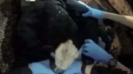 Polis yaralı genci kelepçeledi, Henry Nowak hayatını kaybetti
