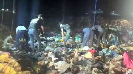 Tekirdağ'da çöplükte erkek bebek cesedi bulundu