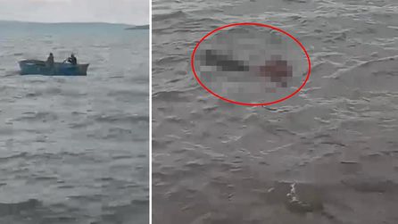 Çıldır'da buzağı göle düştü, köylüler kurtarma operasyonu düzenledi