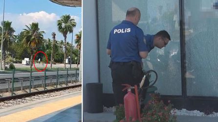 Otokoç saldırılarının nedeni belli oldu 