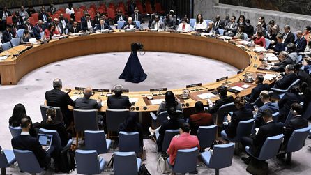 Almanya, BM Güvenlik Konseyi geçici üyelik seçimlerinde başarısız oldu