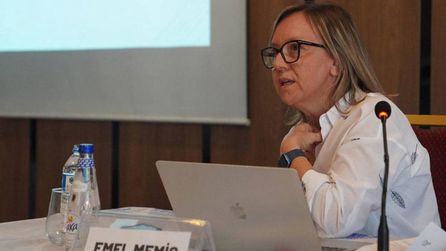 Ankara'daki NATO Zirvesi operasyonlarında 209 kişi gözaltına alındı