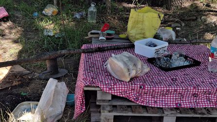 Akyurt'ta Piknikte Kadın Cinayeti Gerçekleşti