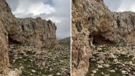 Kayıp keçiler mağarada bulundu, koruyucu köpekleri yanlarından ayrılmadı