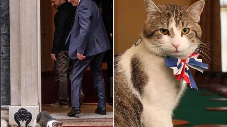 Larry: Downing Street'in Kedisi 10 Yılda 6 Başbakan Gördü