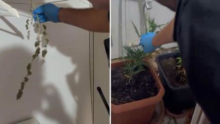Denizli Barosu Başkanı ve 12 Avukat Uyuşturucu Operasyonunda Gözaltına Alındı