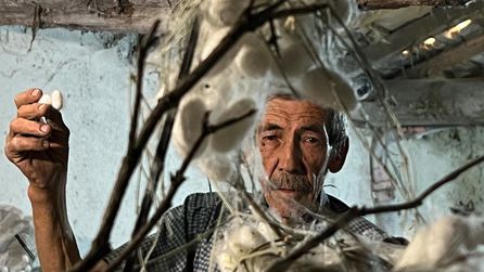 Nallıhan'da İpek Böcekçiliği ile 40 Günde 216 Bin Lira Gelir Elde Edildi
