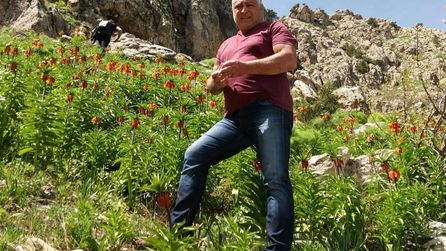 Tunceli'de mantar toplarken kaybolan kişi ölü bulundu
