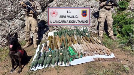 8 ilde eş zamanlı operasyonla çok sayıda silah ele geçirildi