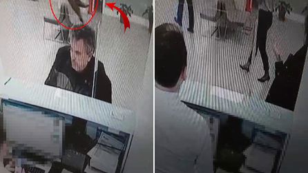 Bolu'da banka işlemi sırasında tavandan kedi düştü