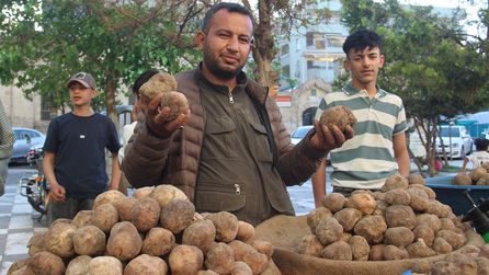 Şanlıurfa'da Keme Mantarı Yüksek Fiyatla Satışta